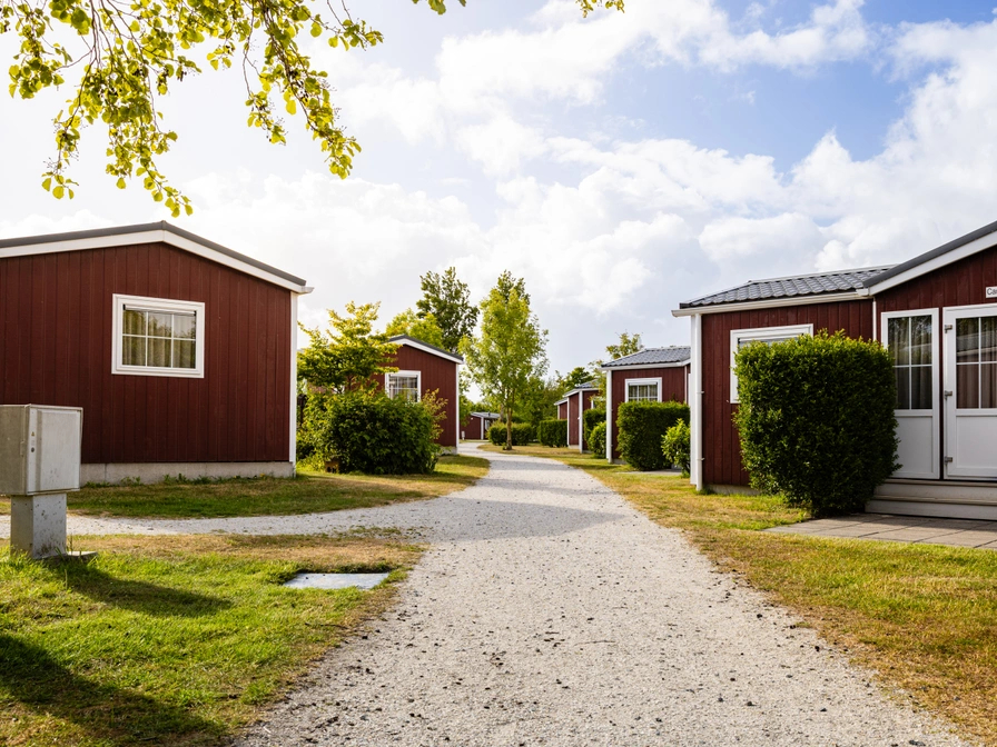 Hondvriendelijke duinbungalow op Terschelling